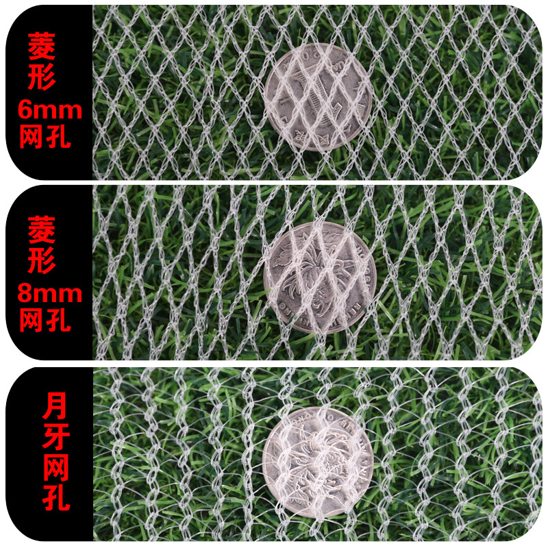 Cross-Border Supply of Mountain Orchard Anti-Hail Net, Polyethylene Woven Net, Fish Pond Farm Anti-Bird Net, Protective Net