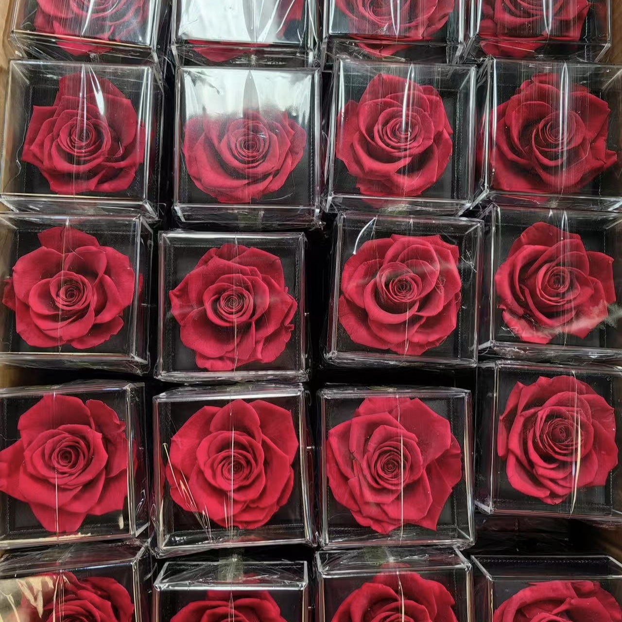 Everlasting Flower Rose Acrylic Jewelry Box Single Flower Valentine's Day Christmas Gift Jewelry Gift Box