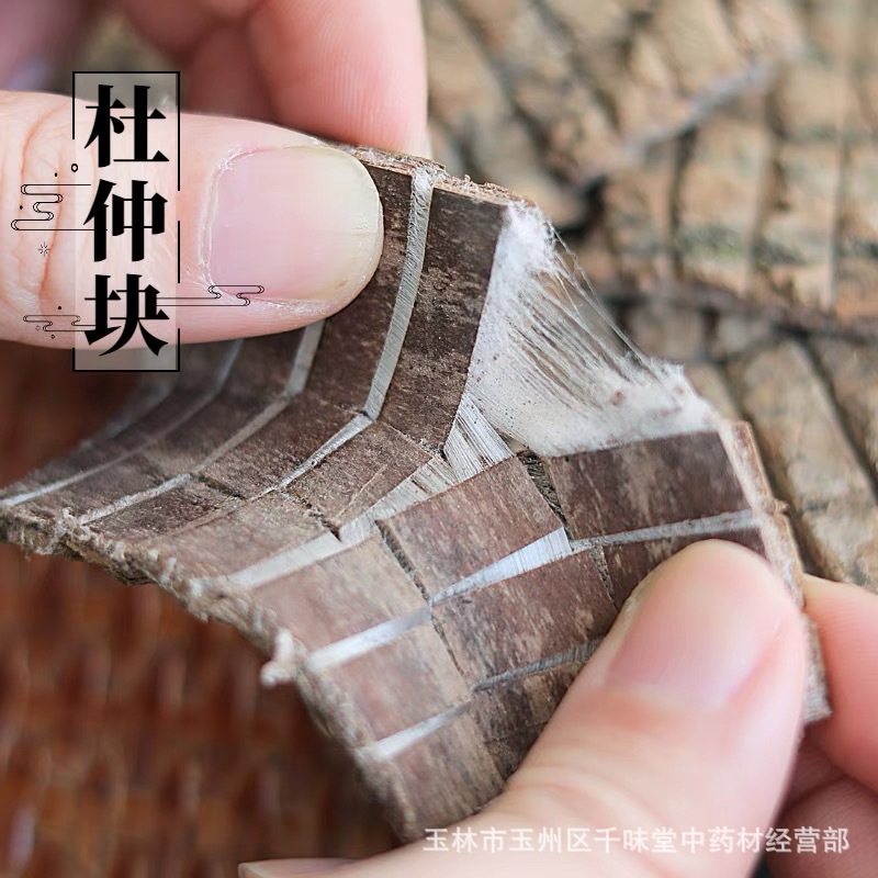 Guangxi Old Eucommia 500g Rough Bark Chinese Medicinal Material Bark Strips for Making Wine, Bulk Wholesale, Authentic Medicinal Material Specifically for Making Wine