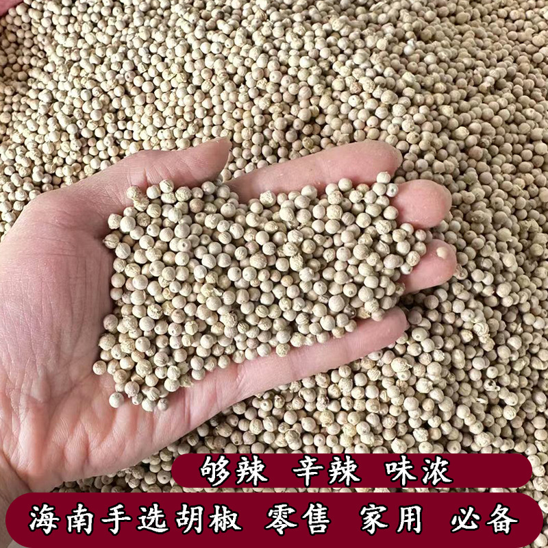 Hainan White Pepper Bulk Dry Goods Spot Wholesale White Pepper Crushed Pepper Noodles Seasoning Aniseed Spices 
 
