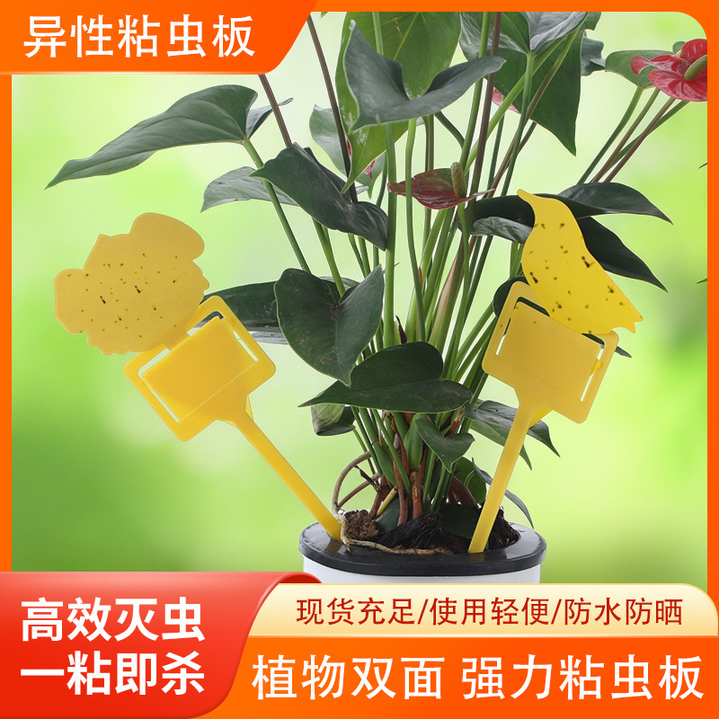 Двусторонняя специальная липкая насекомая доска липкая насекомая доска ловушка для плодовых мух желтая наклейка ловушка для насекомых защита растений