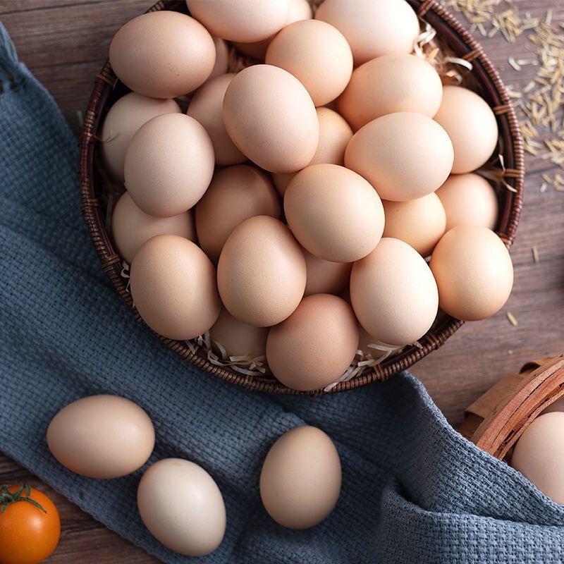 Authentic Free-Range Farm Eggs, Fresh Mixed Grain Eggs with Cordyceps, Nutritious Confinement Eggs, Free-Range Eggs