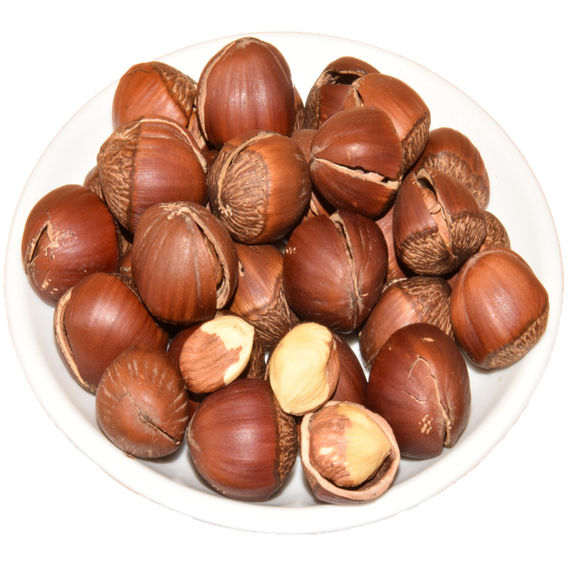 Best Hazelnut Love Northeast Specialty Wholesale 10 Lbs 2025 New Stock Original Flavor Roasted Nuts Open-Shell European Large Hazelnuts