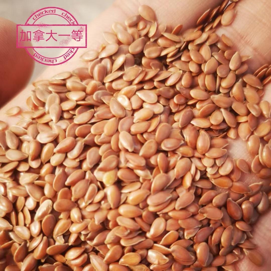 Wholesale Flaxseed Brown Flaxseed Raw and Cooked Golden Flaxseed Flaxseed Oil Grinding Powder Filling