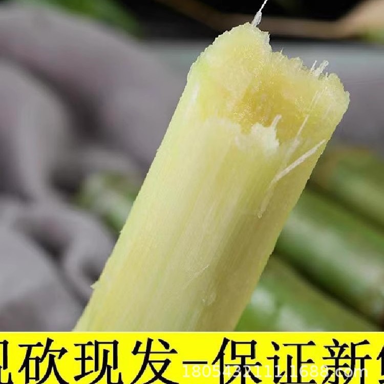 Authentic Taoshan Sugar Cane from Wenzhou, Zhejiang, Fresh Green-Skinned Fruit Sugar Cane, Freshly Cut Green-Skinned Fruit Sugar Cane, 2.5kg Sf Gift Box
