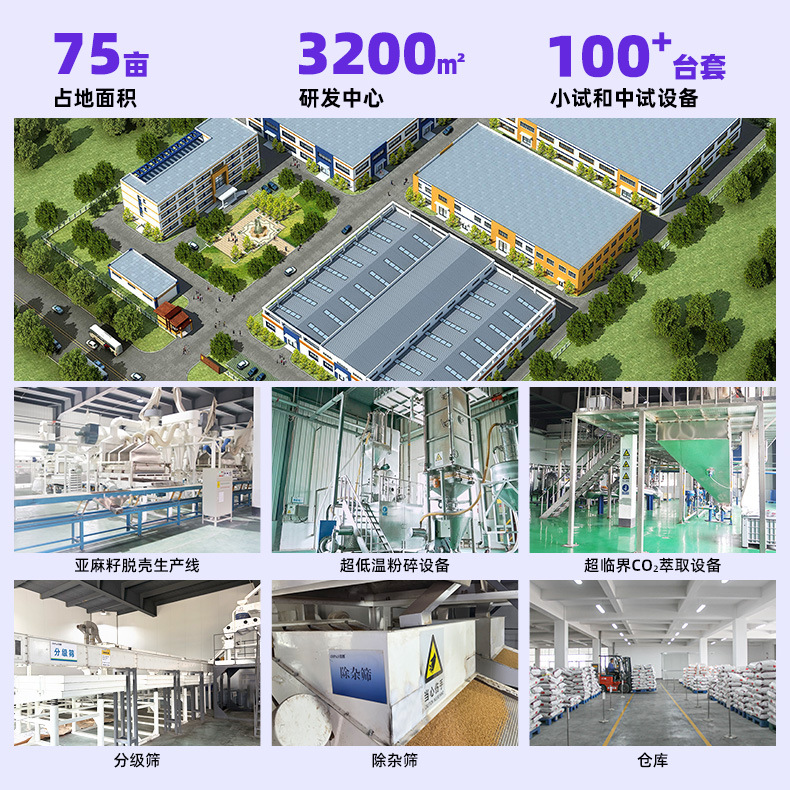 Yellow Pure Natural Flaxseed Wholesale Ready-To-Eat Baked Cooked Golden Flaxseed Processing Cooked Flaxseed