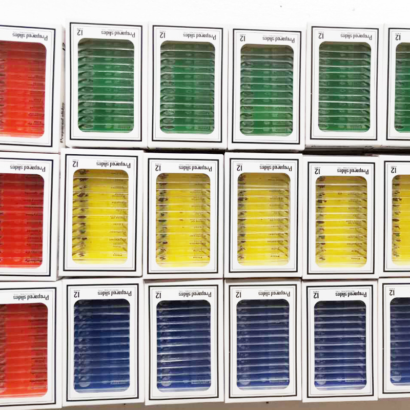 English label microscope accessories insect specimen a box of 12 pieces children's plastic biological specimen slices