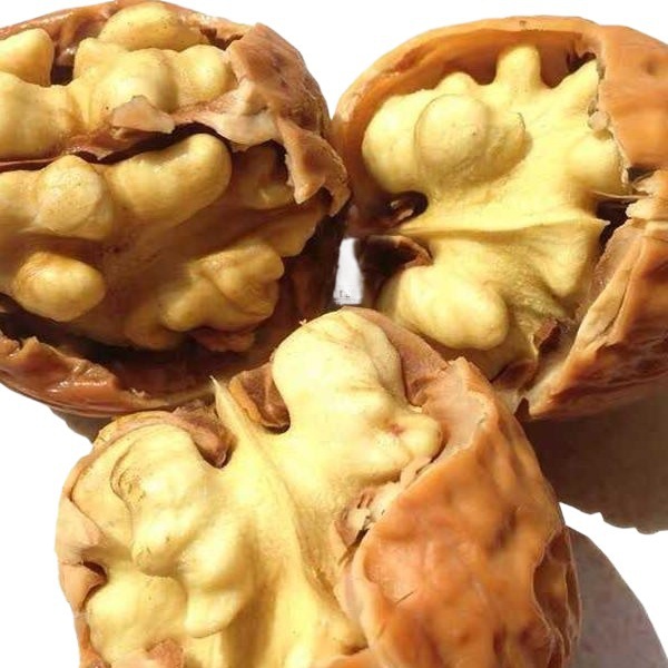 New Arrival 2025 Fresh Walnuts Sichuan Thin-Skinned Walnuts Tender Walnuts Raw Walnuts Pregnant Women Large Fruit Green Skin Fresh Wet Walnuts