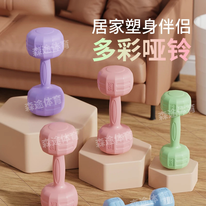 Household Dumbbell Fitness Equipment Integrated Rubber-Coated Cement Dumbbells for Men and Women to Increase Muscle for Children Yoga Dumbbells for Home Fitness