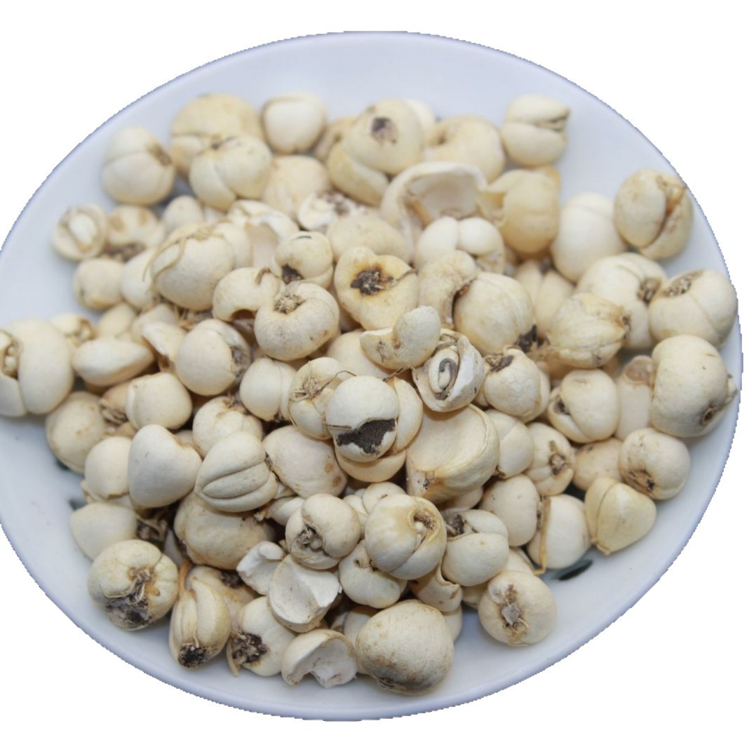 Qingchuan Fritillary Wild Aba Fritillary Pure Wild Picked Pine Fritillary Directly Sold from Origin 100g