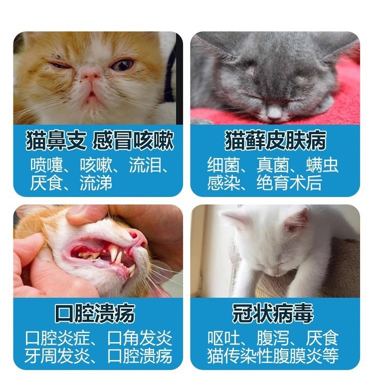 Veterinary Soft-Head Thermometer Thermometer Cat and Dog Anal Digital Thermometer Pet Cold Thermometer Home