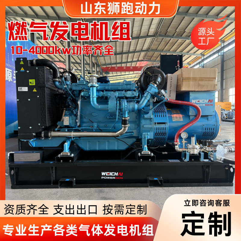 10-4000Kw Gas Generator Set Large Power Station Natural Gas Biogas Oil Field Farm High Power