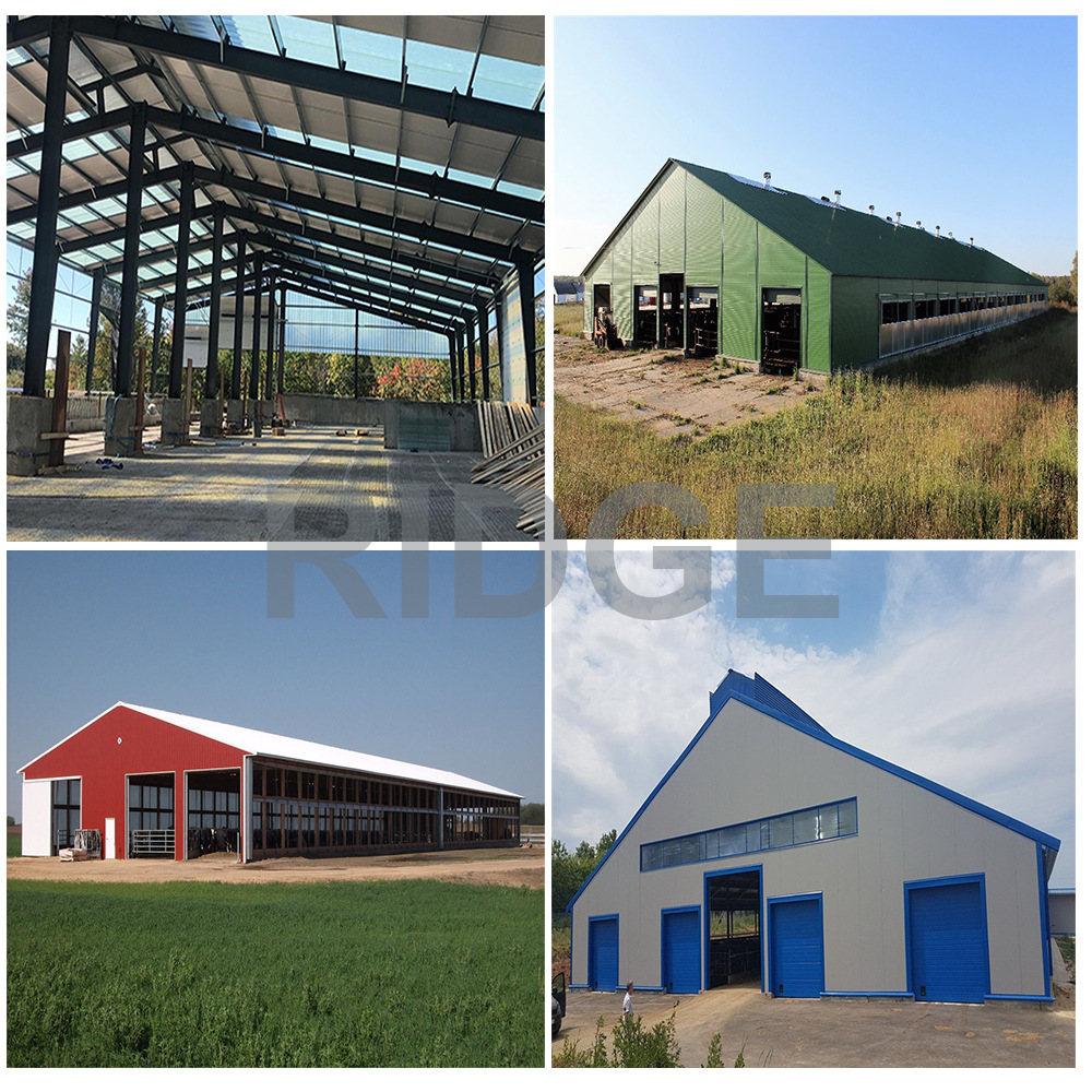 Mexico Canada Agricultural Steel Structure Metal Agricultural Ranch Shed Production