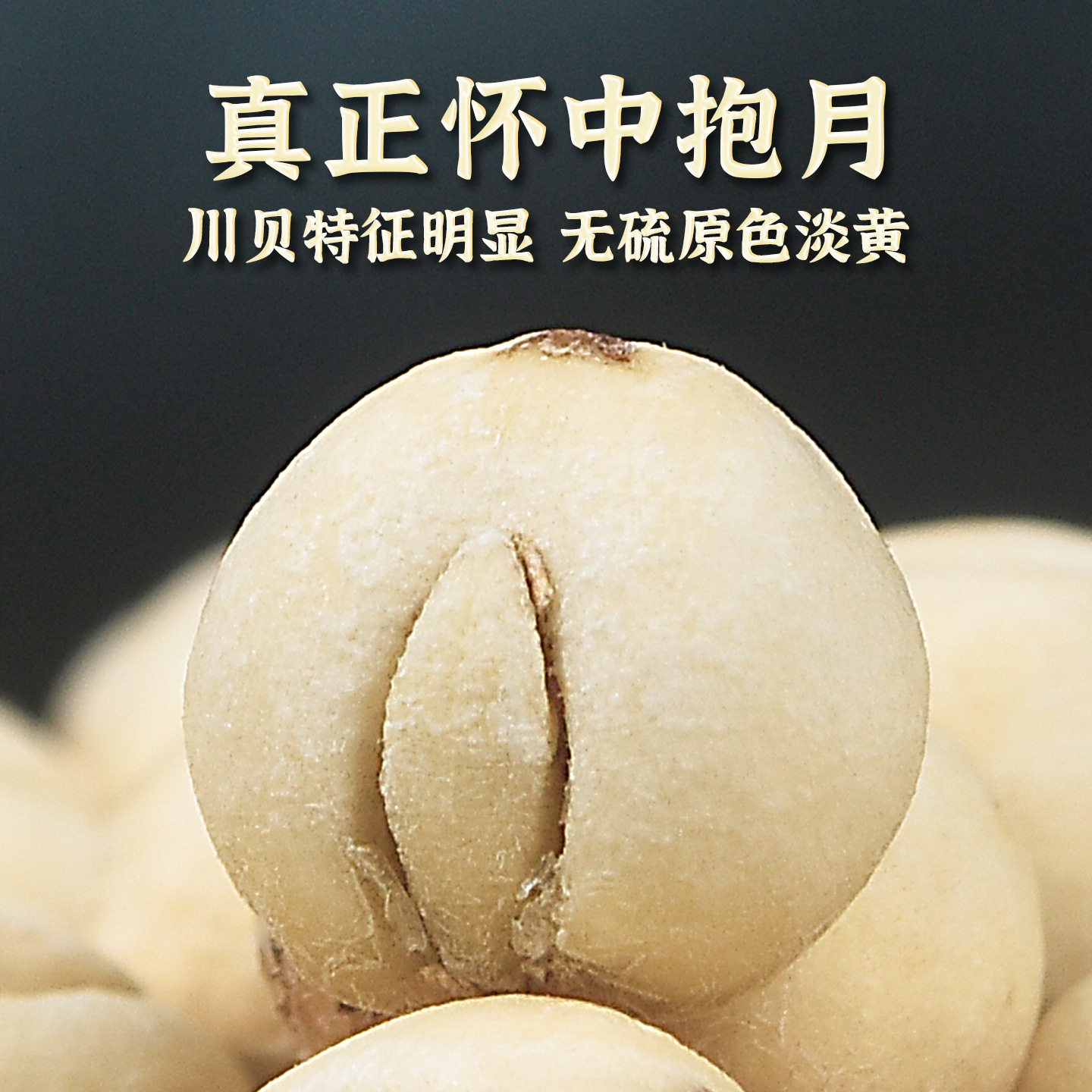 Sichuan Aba Chinese Herbal Medicine 100g Authentic Sichuan Fritillaria Granules Fritillaria Dry Powder Soaked in Water to Drink Non-Wild Special Grade