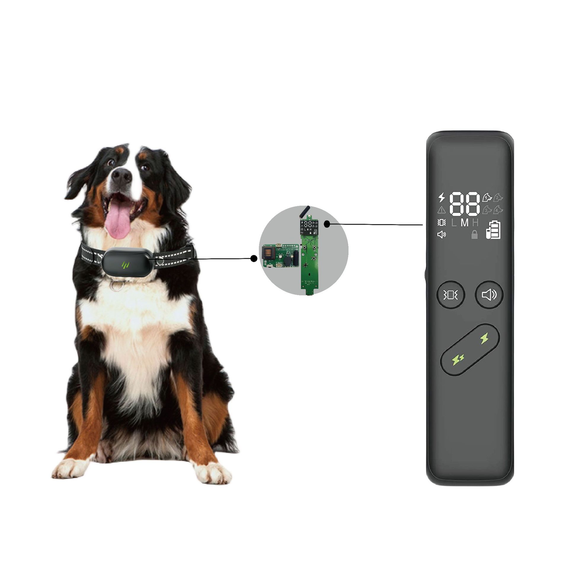 Intelligent Dog Training Device Motherboard Solution Remote Control Pcba Digital Tube Lcd Display Color Screen Low Power Consumption Single Communication