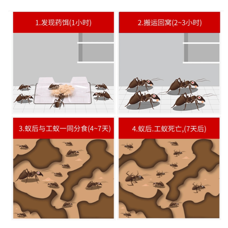Housheng Ant Medicine Wholesale Household Ant Killer Indoor Yellow Ant Powder Red Ant Black Ant Non-Toxic Delivery