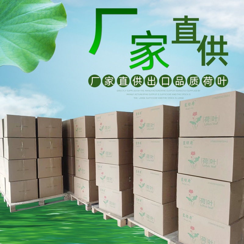 Large Dried Lotus Leaf Taibai Lake Natural Whole Dried Lotus Leaf for Lotus Leaf Chicken Glutinous Rice Chicken Whole Dried Lotus Leaf