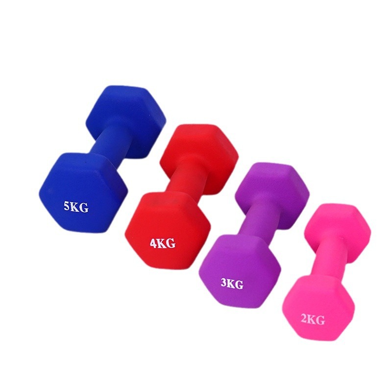 Cross-border wholesale frosted glossy hexagonal dip bell ladies fitness equipment cast iron coated plastic dip dumbbell