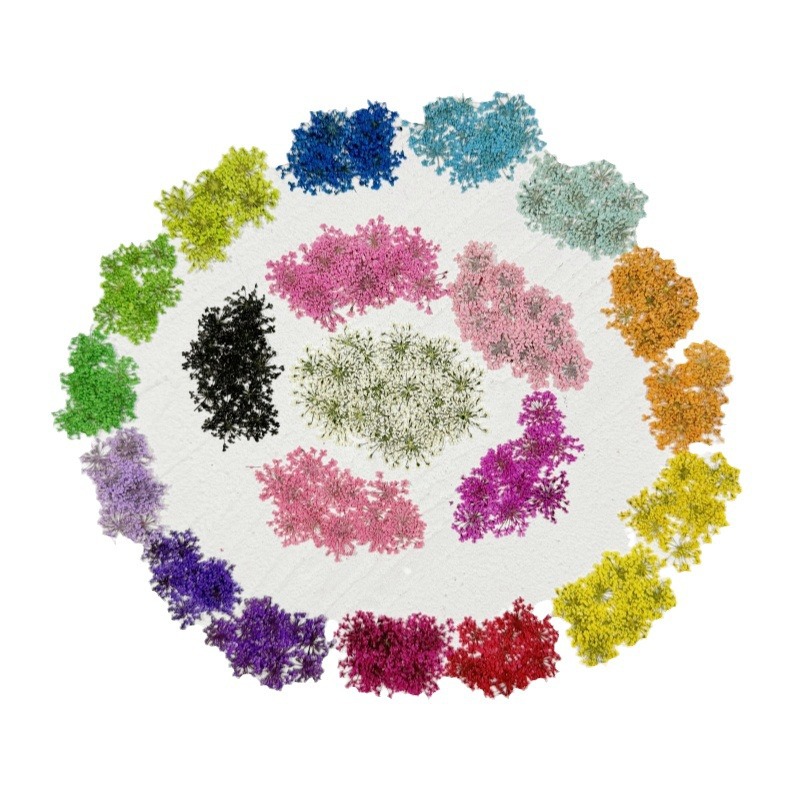 Snow Bead Flower/Lace Flower Nail Art Dried Flower Embossed Photo Frame DIY Material Clearance Wholesale Small Size 2000 Flower Free Shipping