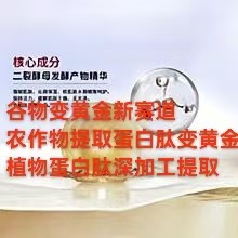 Outsourcing Semi-Finished Products for Processing at Home to Produce Corn-Extracted Plant Protein Peptides. Don'T Miss Out, or Wait Another Ten Years to Seize the Opportunity