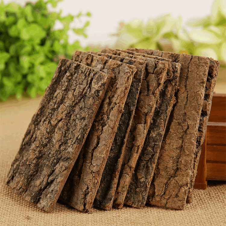 Eucommia Bark Chinese Herbal Medicine Pure Natural Special Grade Eucommia Bark Genuine Wild Eucommia Tea 500g Free Shipping Thin Bark