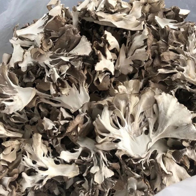 Сушеные продукты майтаке, съедобные грибы, экологически чистый зеленый чай майтаке, фермерские каштановые грибы, слайсы майтаке 100г