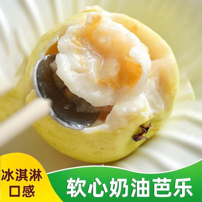 Фуцзяньская кремовая гуава, беломясная гуава, созревшая на дереве, низкосладкий фрукт, сладкий и мягкий, оптовая прямая доставка, естественно спелая