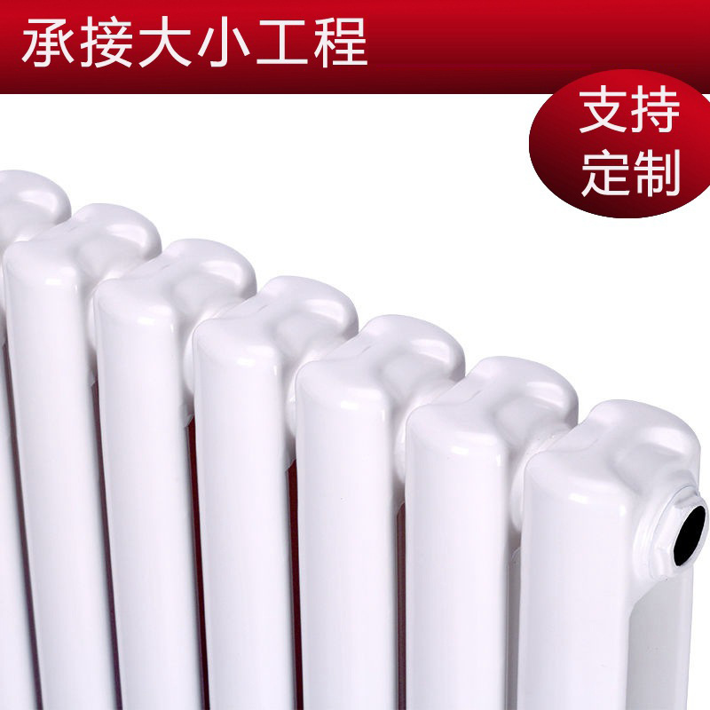 Low Carbon Steel Two-Column Radiator Household Steel Plumbing Wholesale Wall-Mounted Vertical Water Steam Radiator Heater