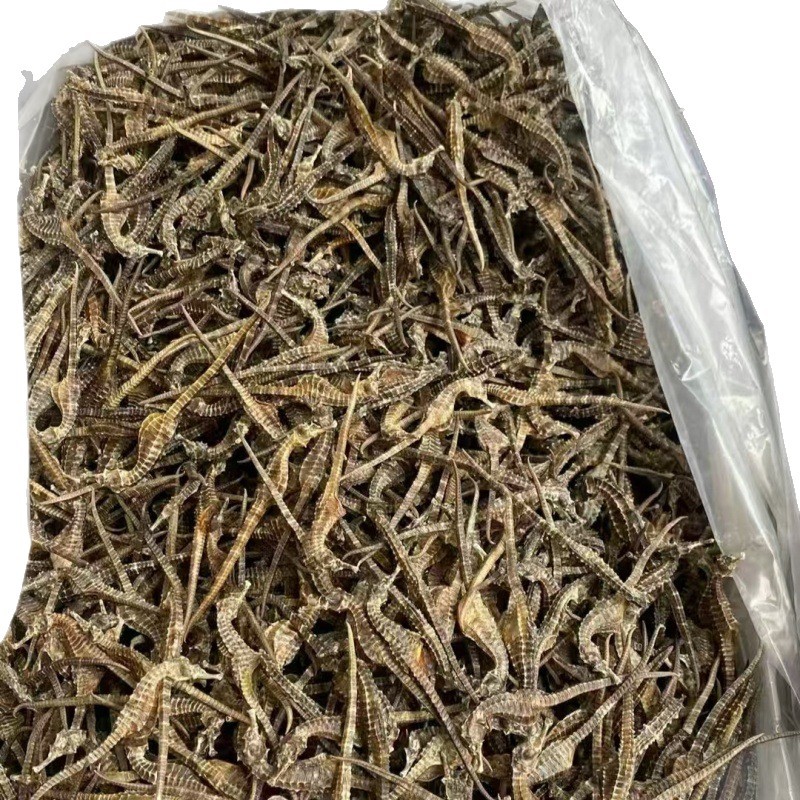 Tracing to the Source of Hippocampus Dried Goods Breeding Hippocampus Soup Bag Soaking Wine Chinese Herbal Medicine Tonic Products Hippocampus