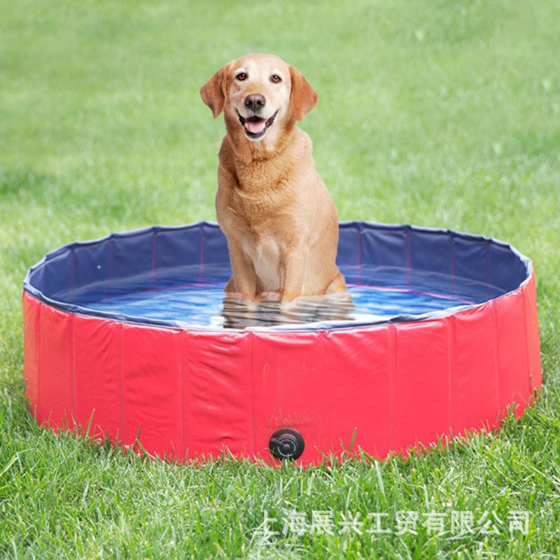 Amazon Foldableable Pvc Pet Bath Basin Customized Portable Inflatable Pet Pool