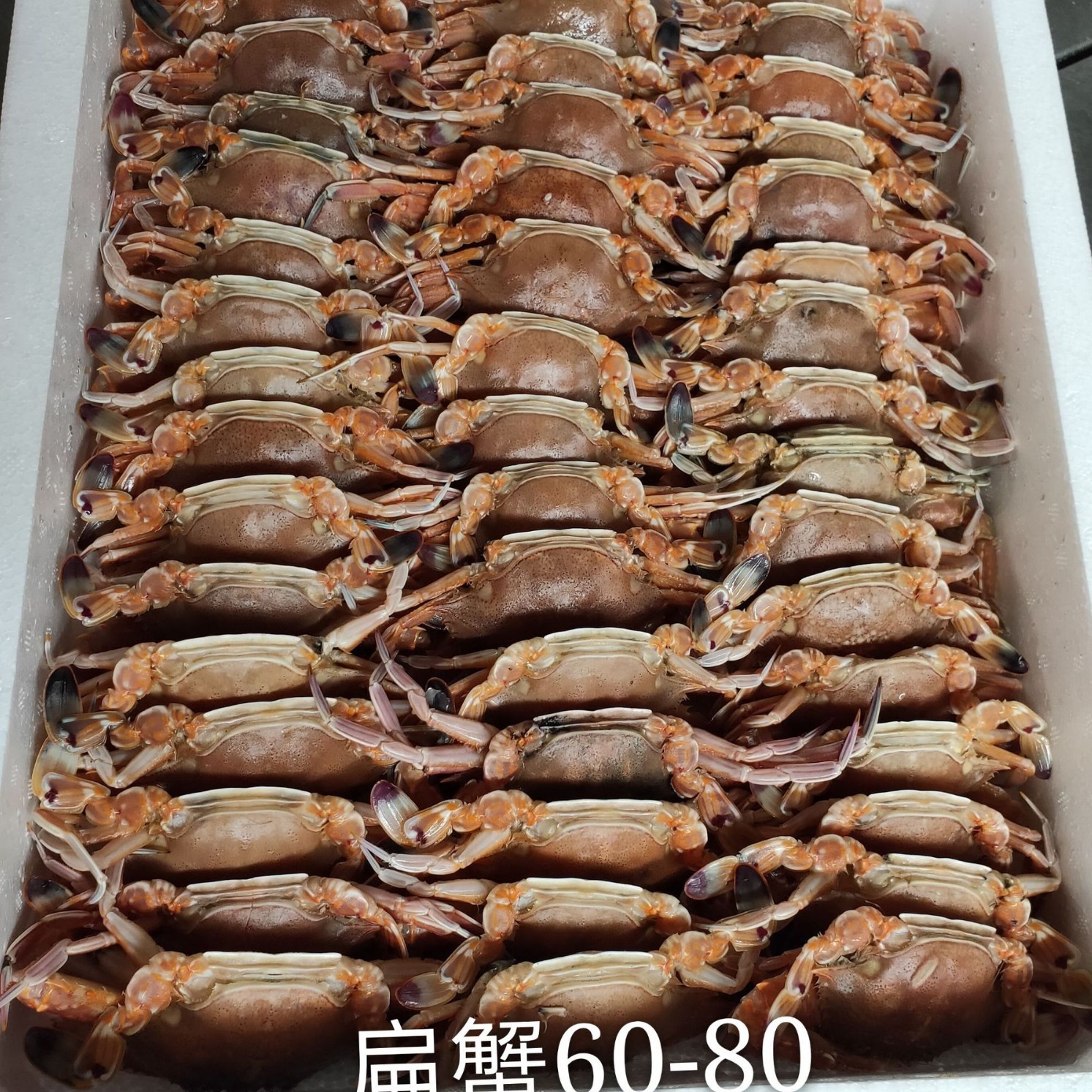 Flat Crab Meat, Hermit Crabs, Thin-Shelled and Delicious, Directly Sold by the Manufacturer, Fresh Seafood, Sweet and Savory, Perfect for Hot Pot, Fresh and Plump