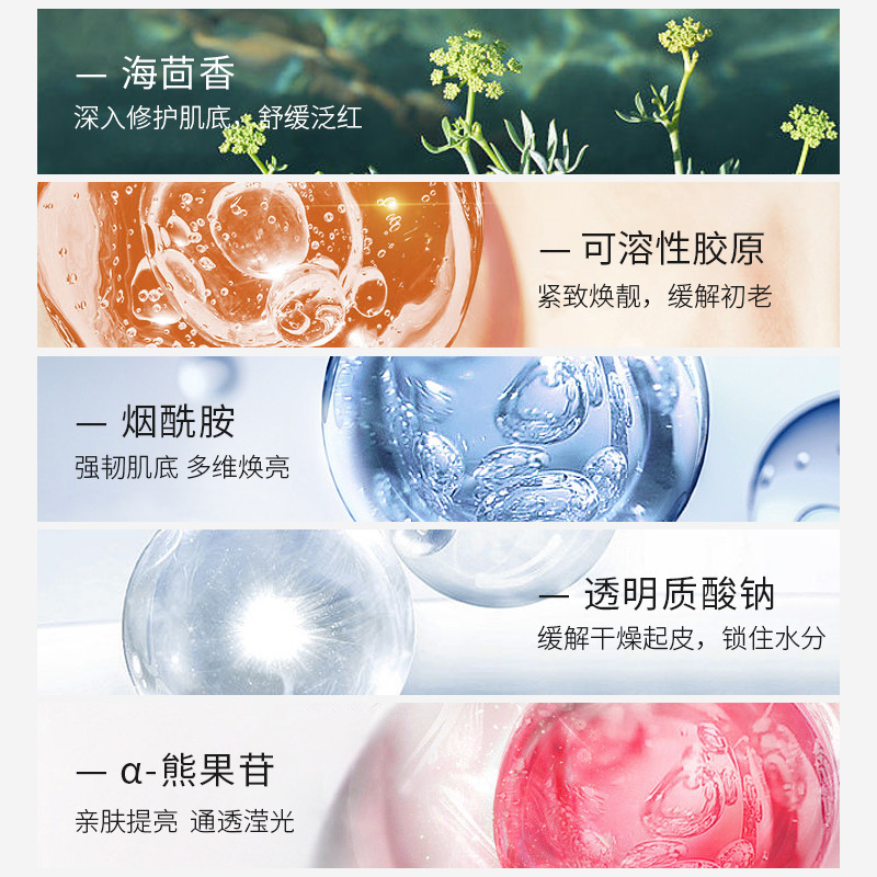 Beauty salon sponge micro needle set box small green algae shrink pores fade fine lines maintain stability repair sponge micro-crystal set