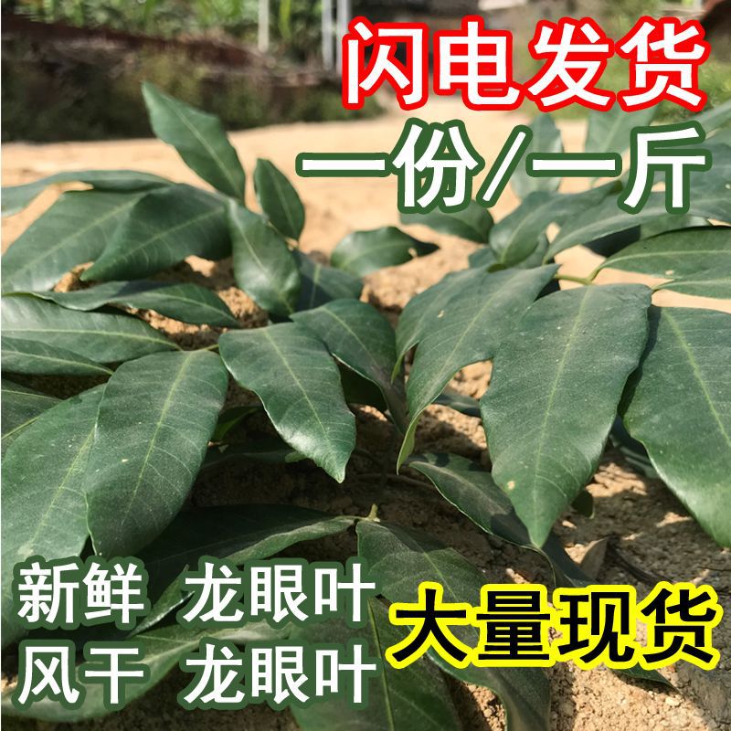 Wild Longan Leaves, Dried Turtle Leaves, Turtle Tank, Dried Longan Leaves, Ph Adjustment, Simulated Ecological Turtle Farming