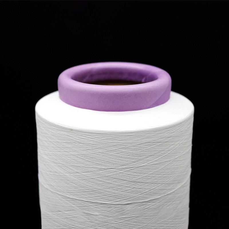 Regenerated Polyester Fdy High-Strength Silk 40D24F Webbing Mark Low-Elastic Black and White Polyester Filament Grs Polyester Raw Silk