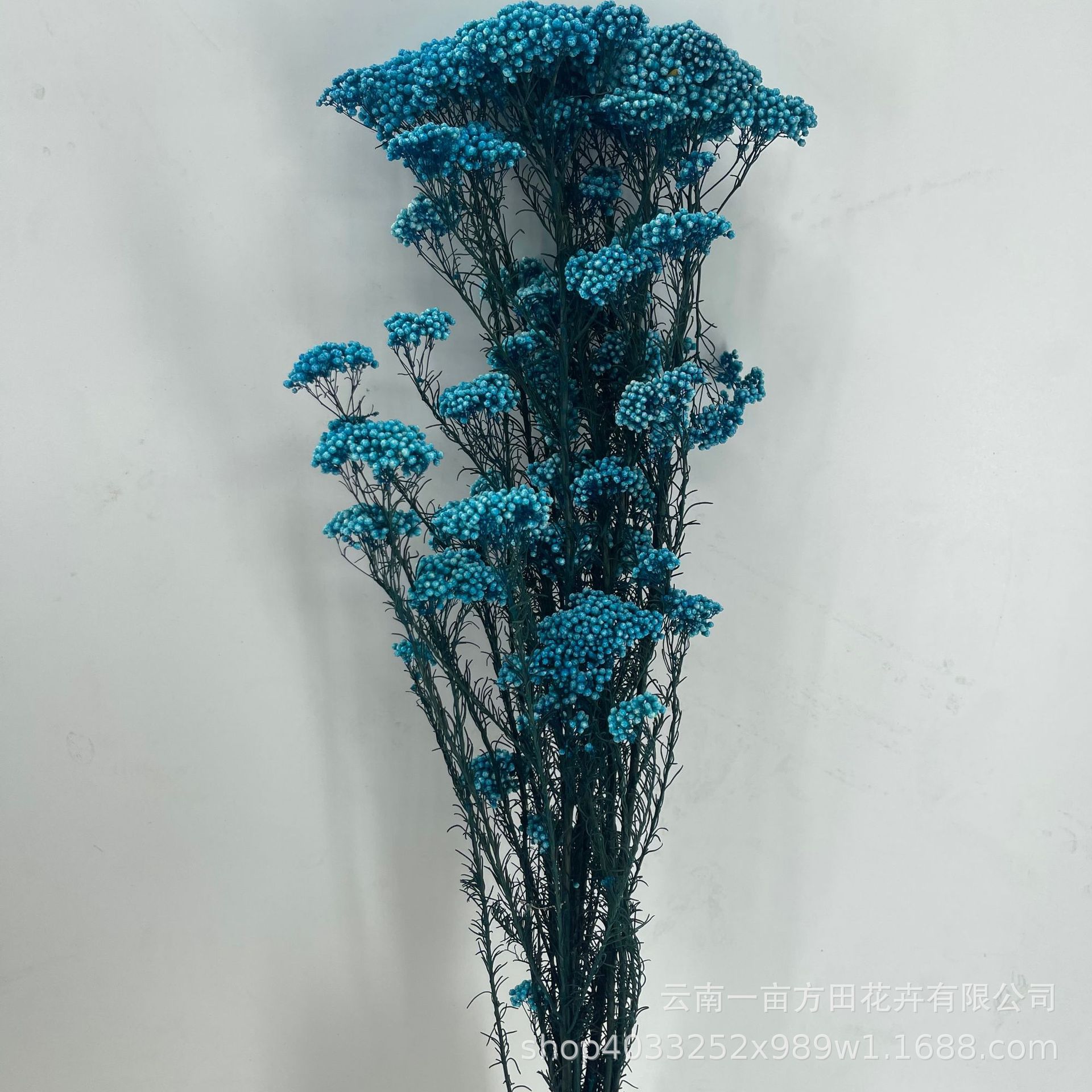 Eternal Millet Flower Is Not Easy to Fall Off Dried Flower Bouquet Yunnan Factory Direct Sales DIY Flower Arrangement Flower Decoration