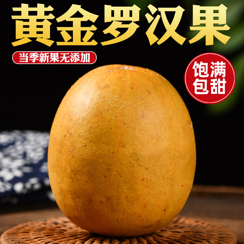 Guangxi Specialty Luo Han Guo Low Temperature Dehydrated Golden Fruit Individually Packaged Luo Han Guo Tea Large, Medium and Small Fruit Origin Wholesale