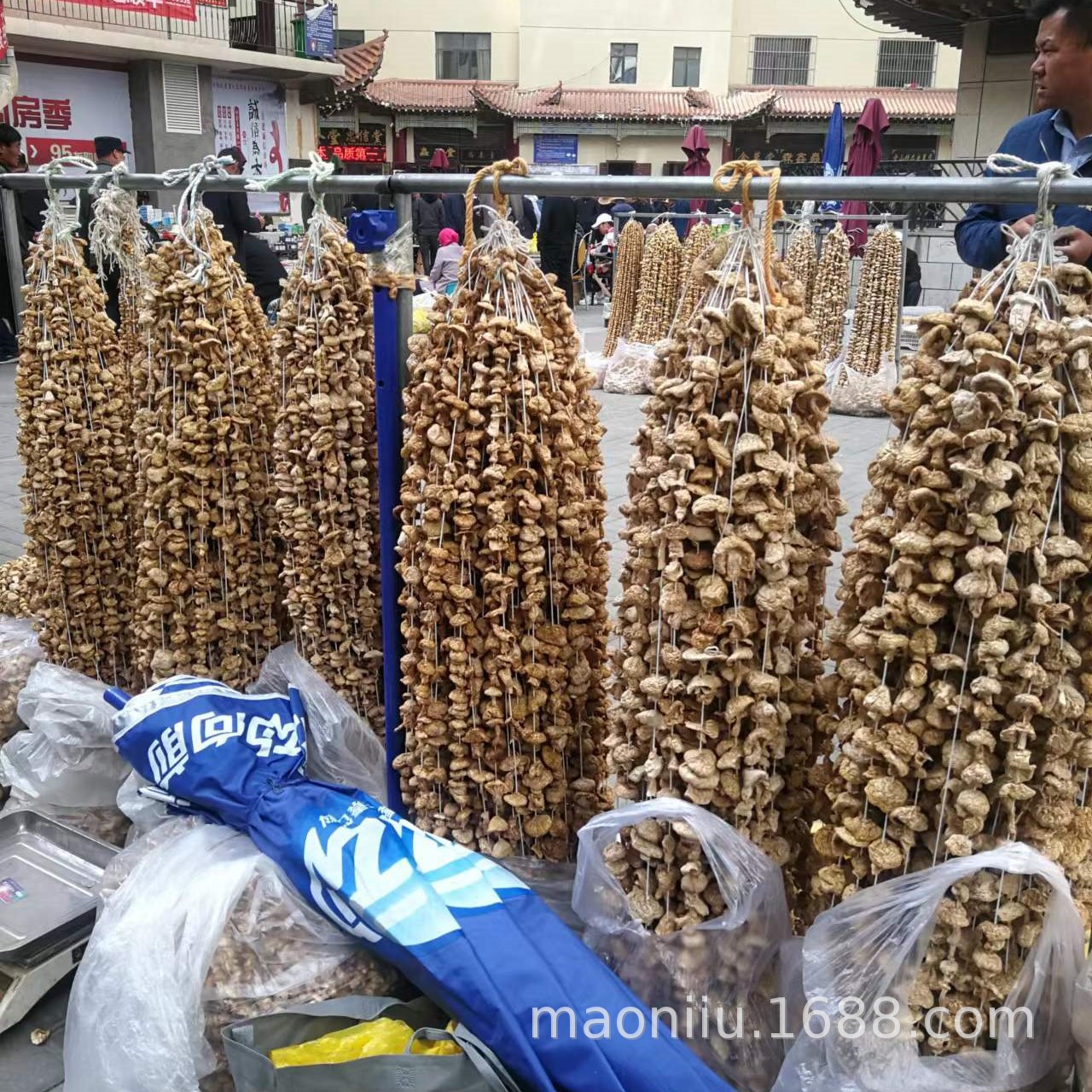 Qilian grassland yellow mushroom Qinghai yellow mushroom Xining small butter mushroom Qinghai specialty dried yellow mushroom