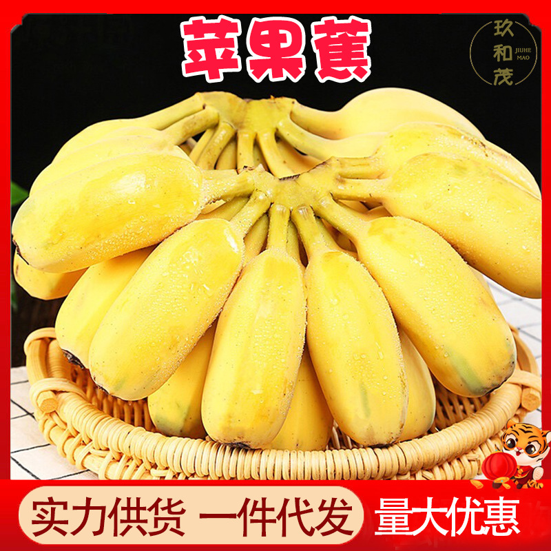 Аутентичный яблочный банан 4.5кг целая коробка свежих сезонных фруктов 10 оптом, бесплатная доставка, 5 альпийских банановых порошков плантан