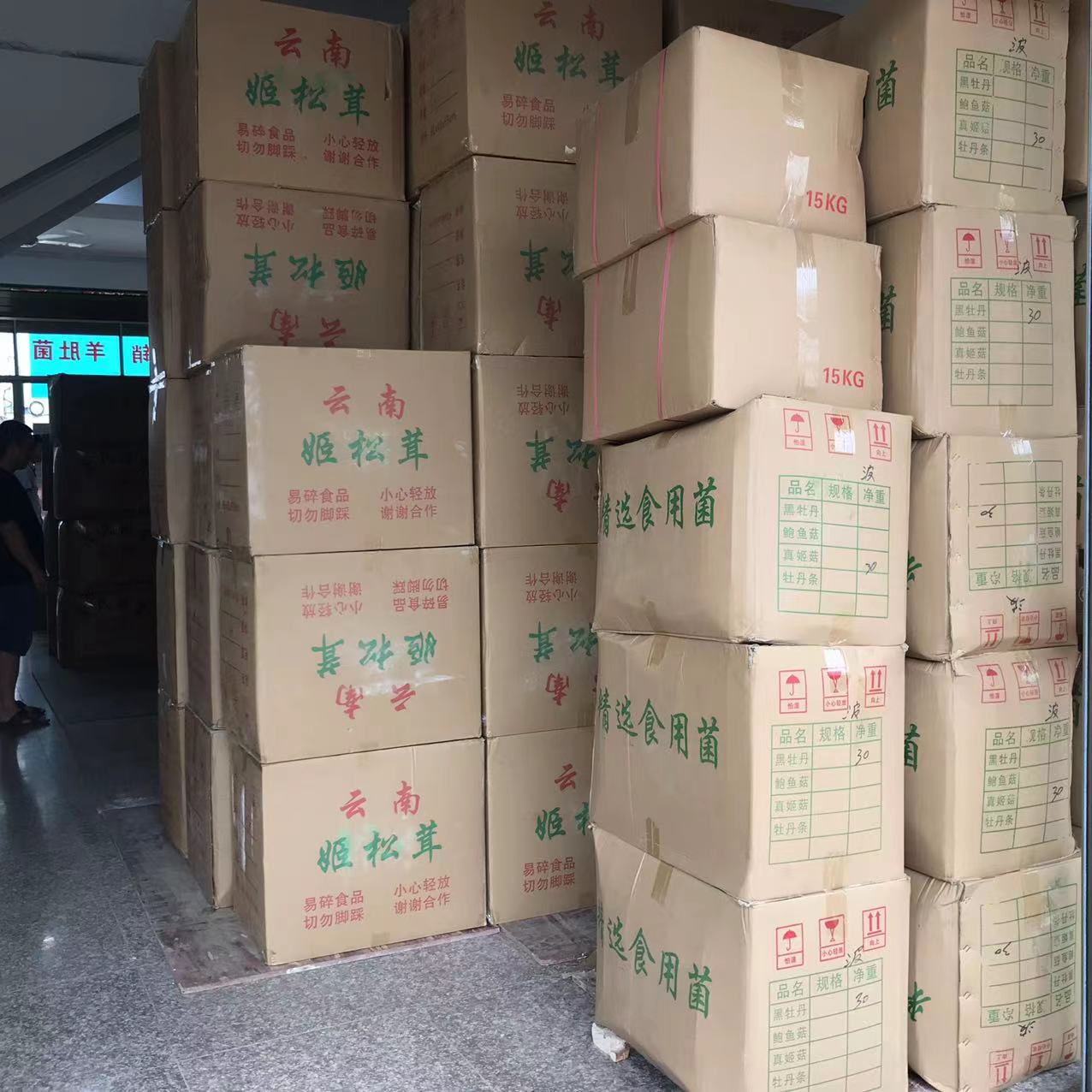 Factory Direct supply this year's new product original color Agaricus blazei dried goods 500g wholesale matsutake mushroom Yunnan matsutake mushroom Brazil mushroom