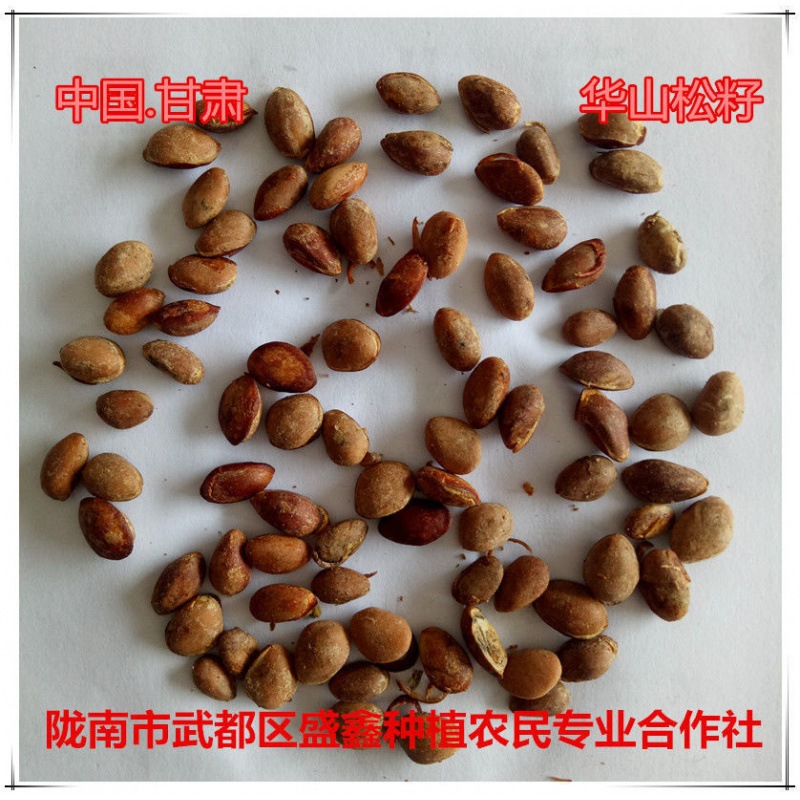 Hand-Picked from the Qinba Mountains, Raw Materials Are Sourced Directly from the Area. New Arrivals for 2023 Are Now Available for Nut Health Care