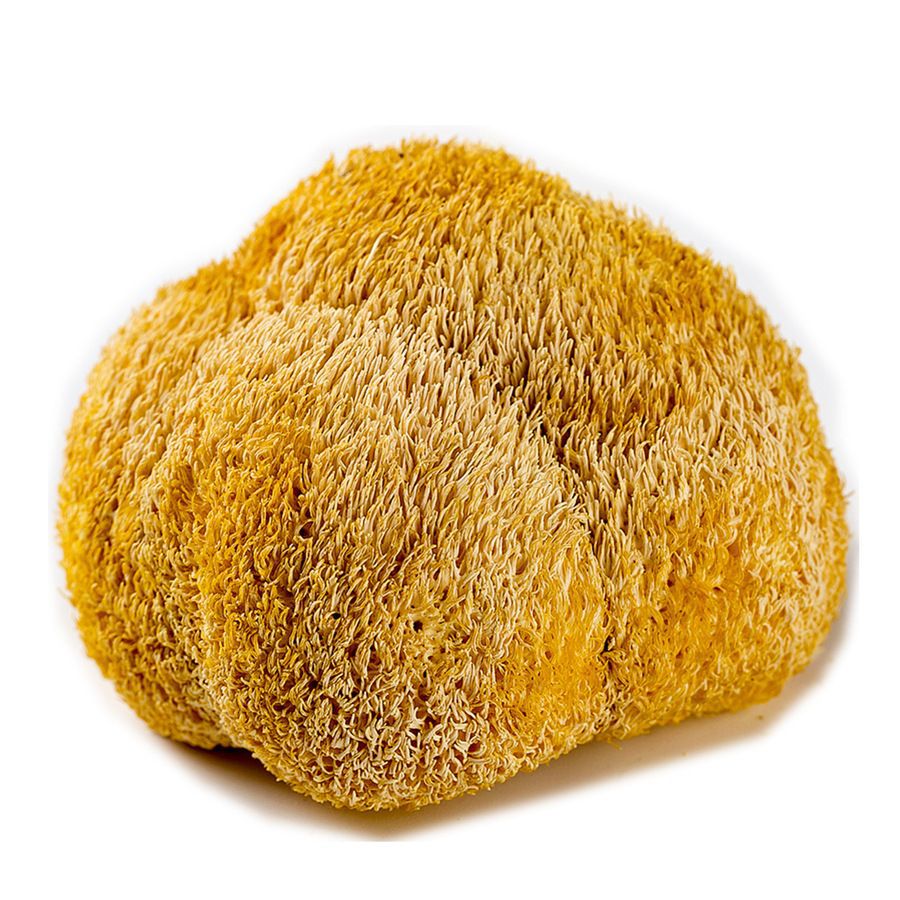 Origin direct sales Gutian monkey head mushroom 500g dried monkey head mushroom Gutian specialty wholesale edible fungus monkey head mushroom wholesale