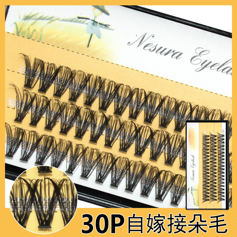 Scarecrow False Eyelashes Self-Grafting Eyelashes Soft 10P Hot Melt Hair Single Cluster Eyelashes Cross-Border