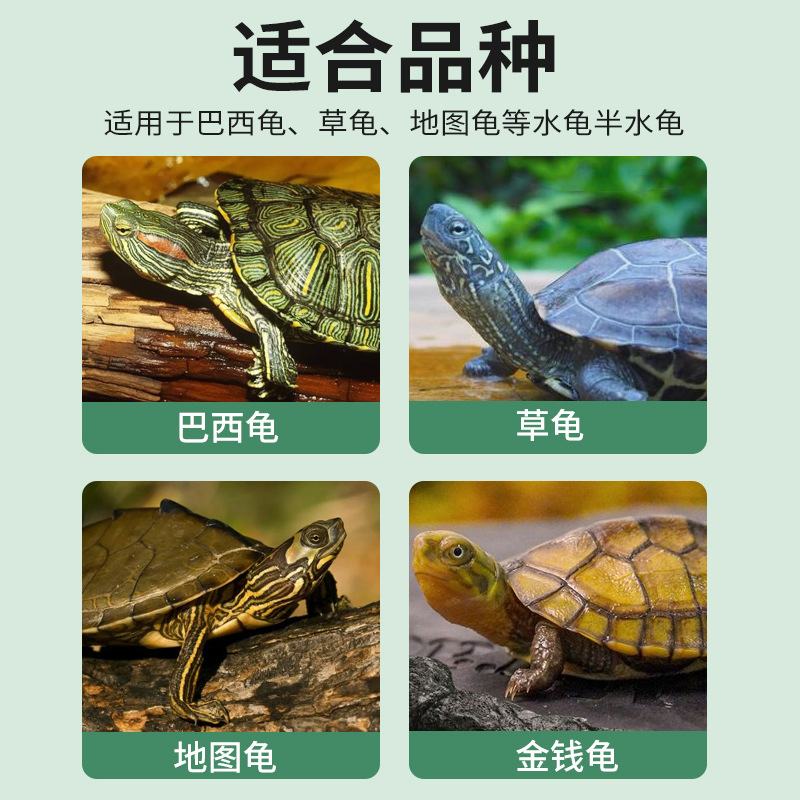 Turtle Food Solid Shell Bright Color High Calcium Turtle Feed High Protein Snapping Turtle Feed Yellow Edge Turtle Universal Turtle Food Wholesale