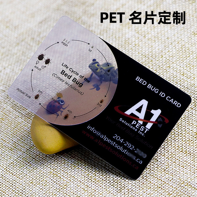 High-Grade Fully Transparent Semi-Matte Pvc Business Card Transparent Card Pet Glossy Edge Anime Card Ins-Style Card Cultural and Creative Product