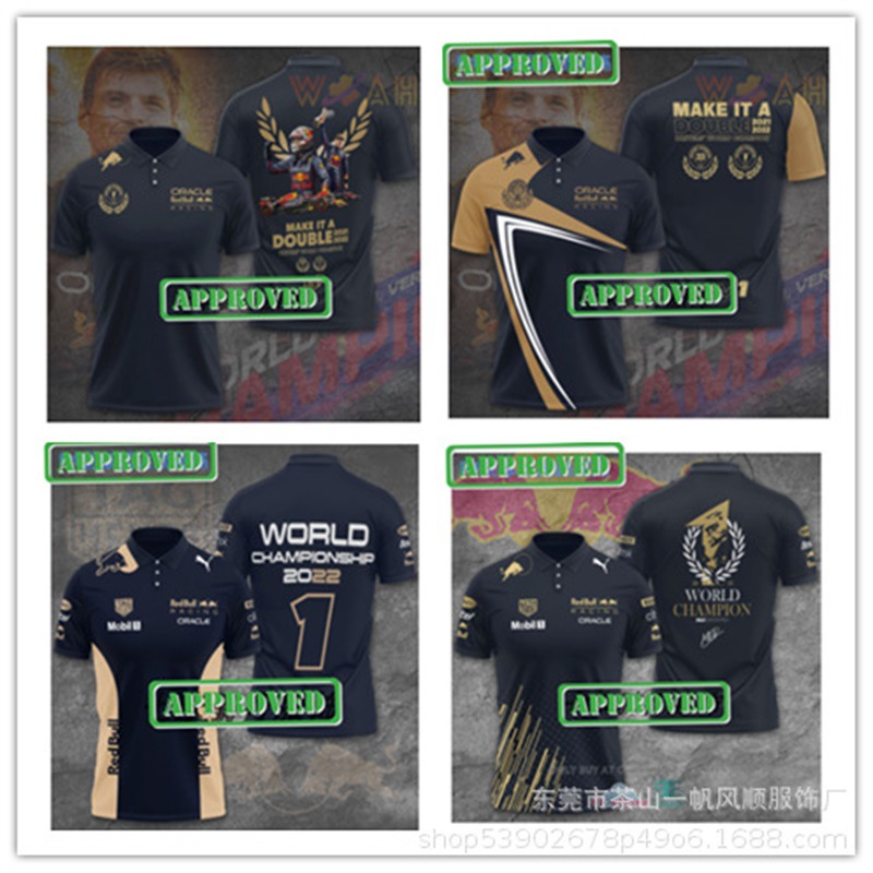 Summer Breathable Short-Sleeved Polo Shirt for Men, Mountain Cycling Clothing, Off-Road Motorcycle Downhill Clothing, Can Be Ordered D