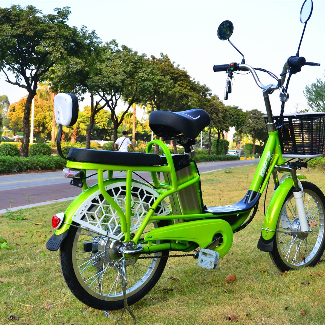 20-Inch 48V Lithium Battery Electric Moped Snowmobile Yilan Princess Electric Bicycle Electric Motorcycle