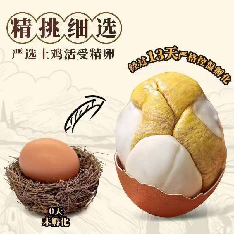 [Drop Shipping] Live Beads Fresh 13-Day Hairy Eggs Live Beads Eggs Cooked Open Bag Ready-To-Eat Tempered Eggs Commercial
