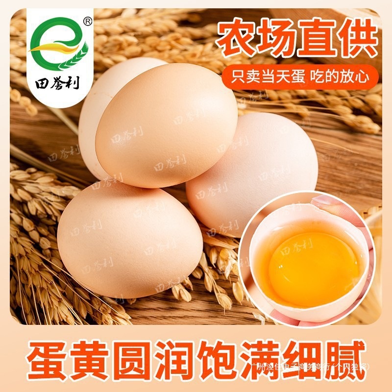 Farm-Raised Free-Range Eggs, Whole Box of Fresh Eggs, Large Dormitory Stockpile for the Whole Year