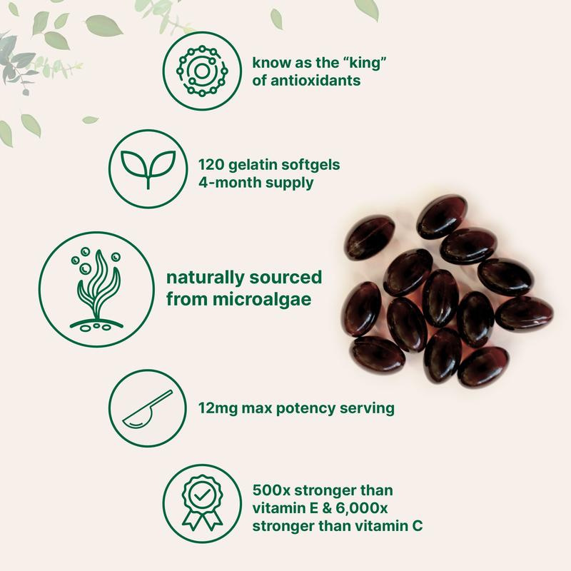 Tk Hot Sale Astaxanthin Premium Astaxanthin Fresh Microalgae Source Supports Eyes