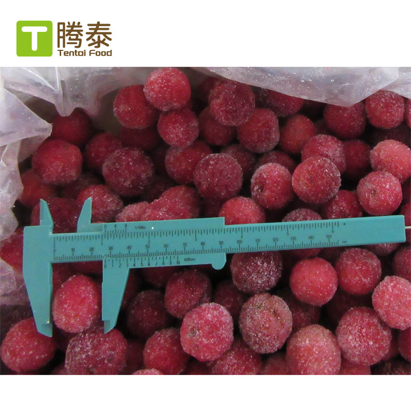 Large Batch of Spot Factory Direct Supply of Dongkui Quick-Frozen Bayberry Hard Silk/Soft Silk Frozen Bayberry